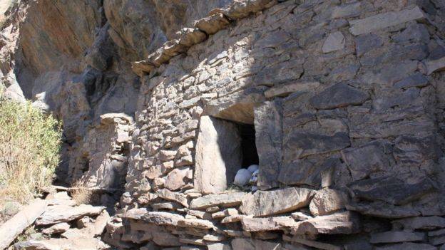 O estudo publicado na Current Anthropology envolveu a análise de centenas de restos de ossos humanos de túmulos no Vale do Colca.