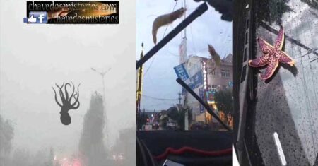 Centenas de criaturas do mar caem do céu durante a tempestade na China