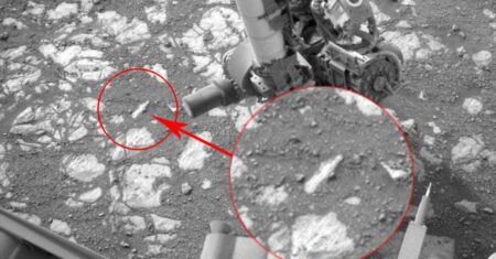 NASA desliga o rover Curiosity depois de descobrir uma garrafa em Marte