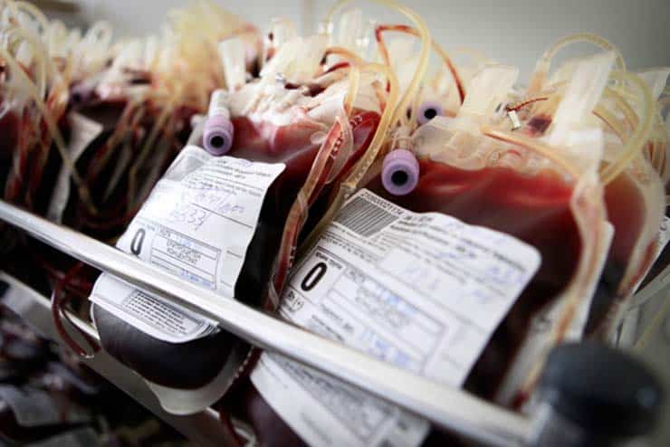 Uma empresa de vampiros oferece a vida eterna através de jovens transfusões de sangue em Nova York