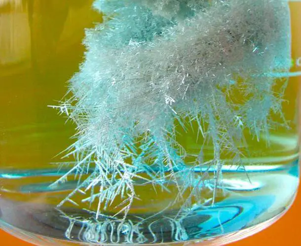 Árvore de Diana bem desenvolvida (Árvore Filosofal) crescida sobre haste de cobre de amálgama de prata / mercúrio colocada em solução 0.1 M de nitrato de prata - tempo de reação 2 h.