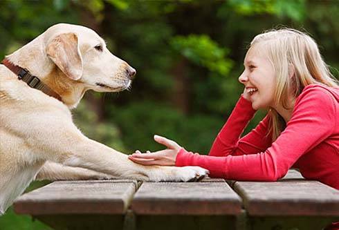 As pessoas vão falar com animais