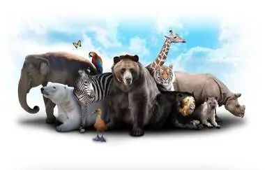 as aves, os insetos e alguns mamíferos, como as baleias e os cachorros