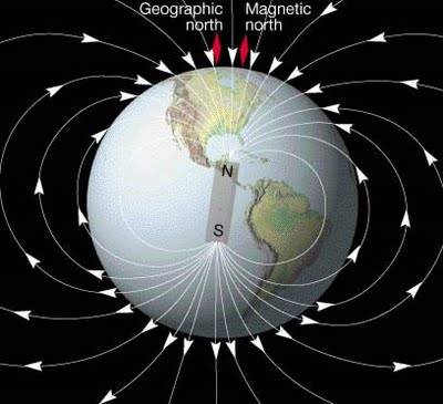 sexto sentido sintonizado no campo magnético da Terra