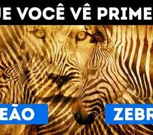 Qual primeira imagem que você vê: Zebra ou Leão?