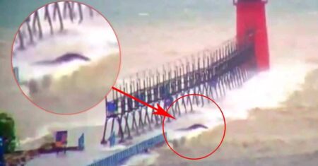 Uma misteriosa criatura aparece no lago Michigan durante uma tempestade