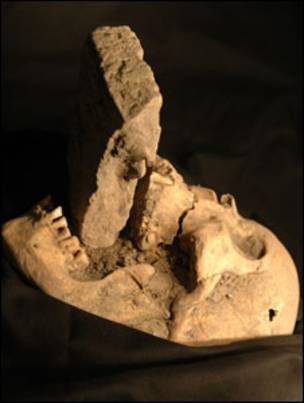 O crânio foi encontrado em Lazzaretto Nuovo, perto de Veneza