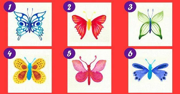 Teste de personalidade: Escolha sua borboleta favorita e descubra seu significado
