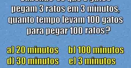 Desafio: O gato, o rato e o tempo