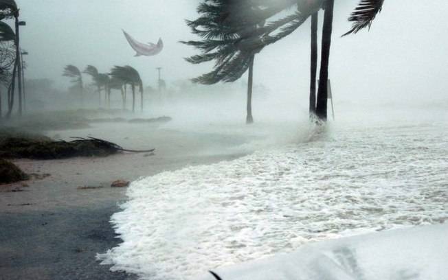 golfinho voador foi registrado nas Bahamas durante a passagem do furacão Dorian
