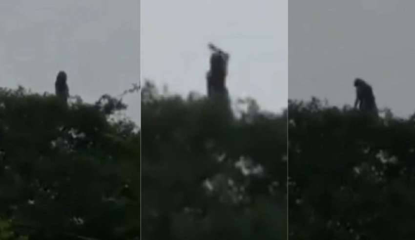 -Um vídeo arrepiante mostra 'La Llorona' em uma cidade na Colômbia