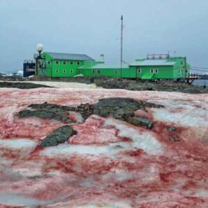 A neve da antártica se torna “vermelha como sangue”, outro sinal apocalíptico?