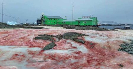 A neve da antártica se torna “vermelha como sangue”, outro sinal apocalíptico?