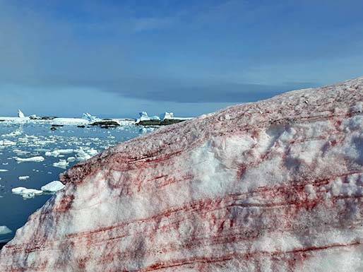 A neve da antártica se torna vermelha como sangue outro sinal apocalíptico