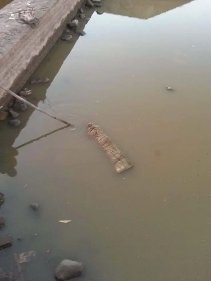 Encontram um boneco ventríloquo “almadiçoado” em um rio no México