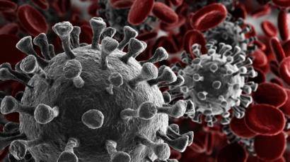 Mais uma profecia cumprida OMS declara pandemia global de coronavírus