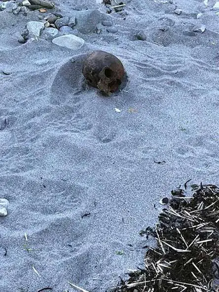 Crânio de metal misterioso encontrado na praia dos EUA