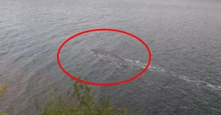 Um turista obtém as melhores evidências do monstro do Lago Ness na história