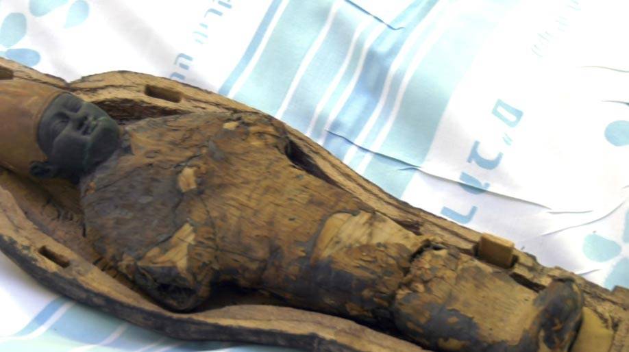 Cientistas abrem uma múmia em israel e descobrem que ela não é humana