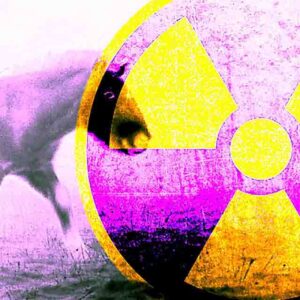 O enigma misterioso dos cavalos radioativos de Chernobyl