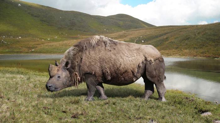 Um estudo revelou um fóssil de unicórnio siberiano de mais de 40.000 anos