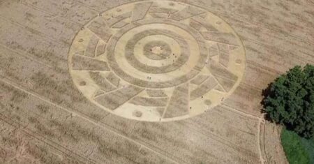 Um estranho e misterioso círculo aparece com um padrão geométrico perfeito em um campo na Alemanha