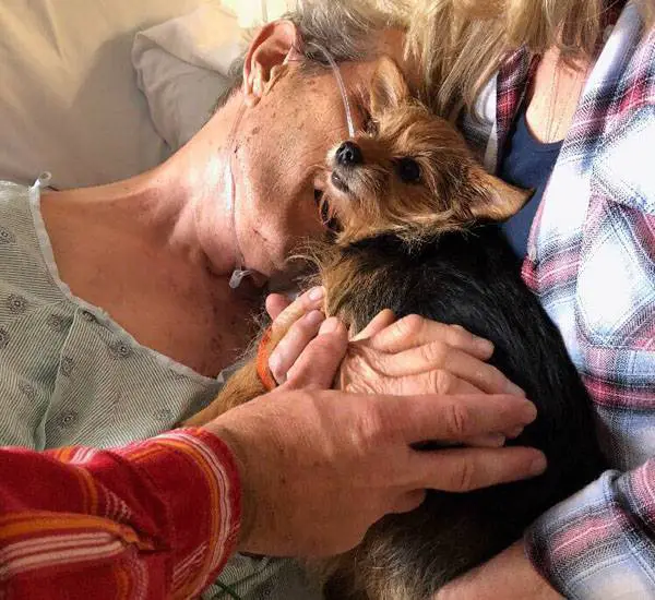 Homem em fase terminal de doença consegue se despedir de seu cachorro no hospital