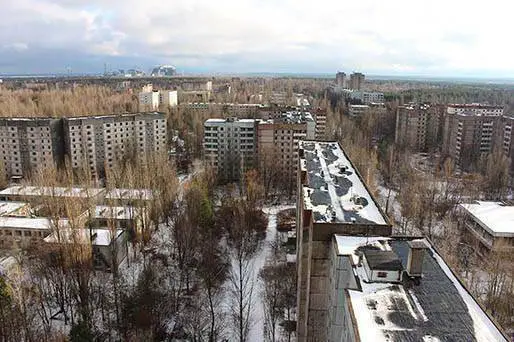 Borboleta mutante encontrada na zona de exclusão de Chernobyl