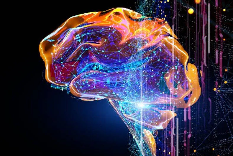 Cientistas mostram que o cérebro humano pode ser conectado ao Universo