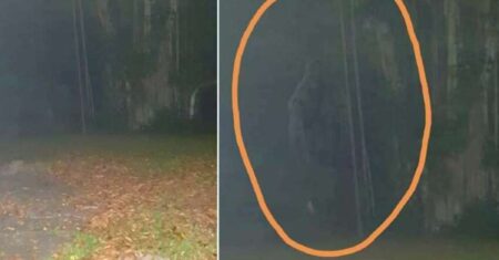 Criatura lendária é fotografada em Cingapura: ‘Homem Macaco’