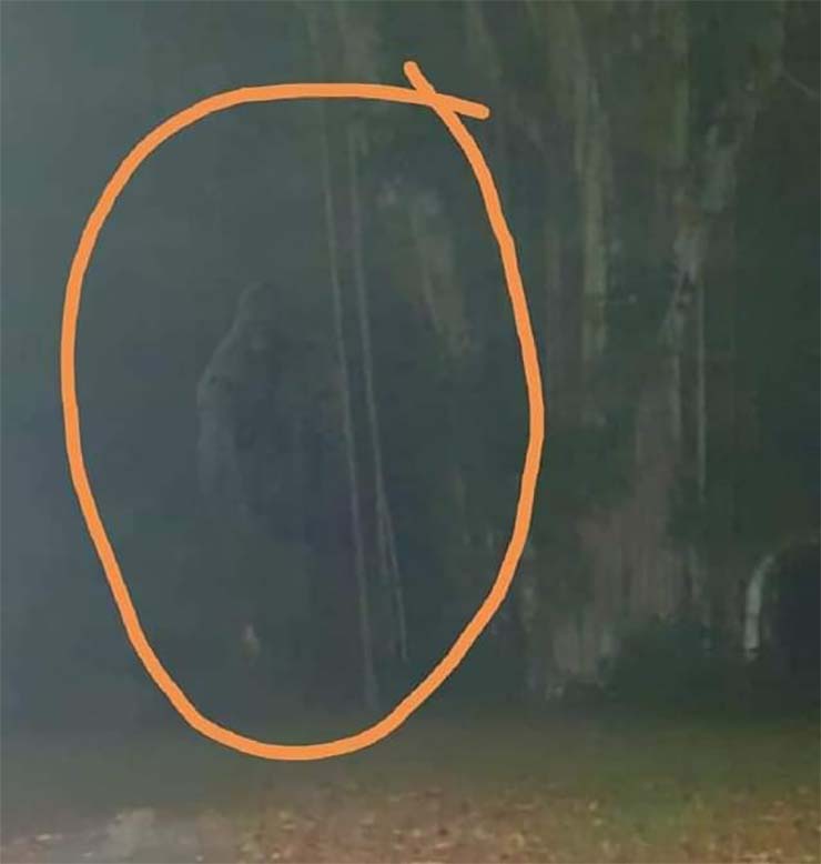 Uma lendária criatura parecida com o pé-grande vivendo em Cingapura.