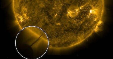 Novos relatórios sobre as enormes esferas drenando energia do sol