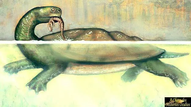 Cientista afirma que o monstro de Lago Ness é na verdade uma antiga tartaruga marinha