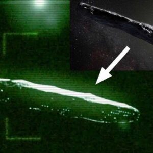 O astrônomo-chefe de Harvard prova que “Oumuamua” é de origem extraterrestre