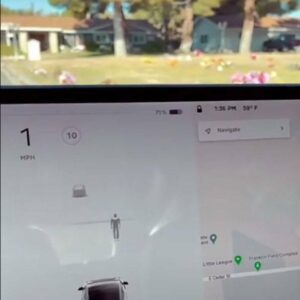 O sensor do piloto automático Tesla registrou um “fantasma” em um cemitério vazio