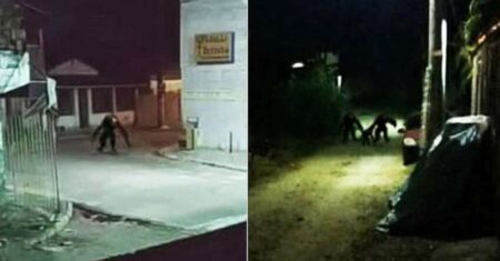 Imagens mostram criaturas misteriosas vagando pelas ruas à noite no Brasil