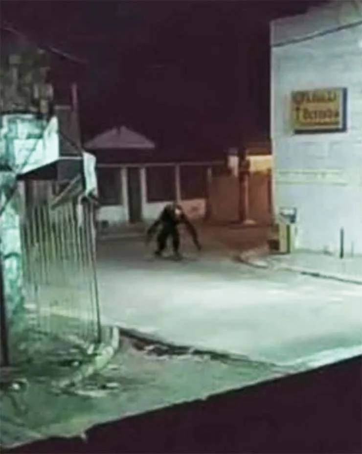 Criatura peluda e de braços longos.