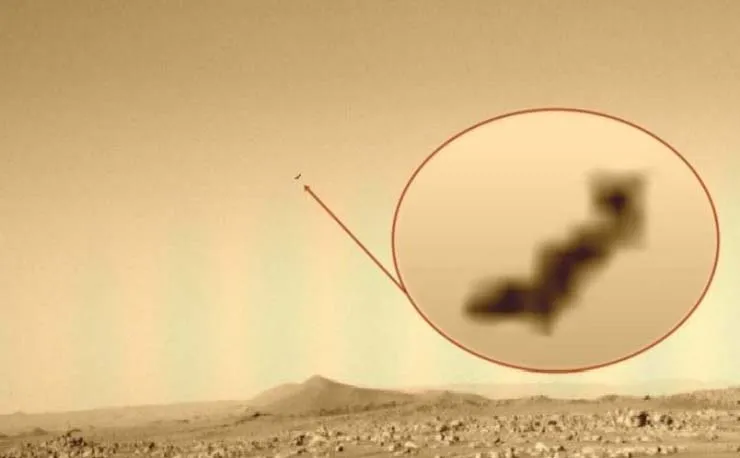 O Rover Perseverance fotografa um pássaro voando em Marte