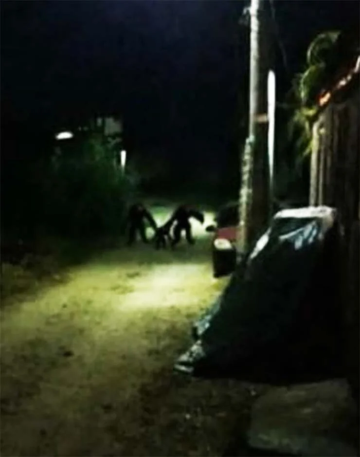 Nos comentários em um grupo alguns moradores especulam que as fotos podem ser uma montagem ou um homem fantasiado, o que seria parte de uma estratégia do governo para garantir o lockdown parcial na ilha.