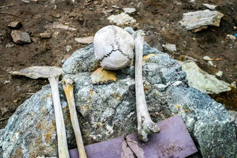 Os restos mortais de cerca de 600 ou 800 pessoas de diferentes grupos genéticos foram encontrados no local.