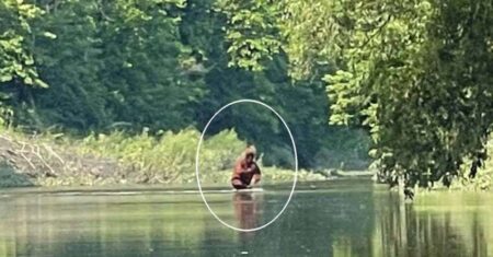 Filmaram um Pé Grande carregando seu filho em um rio