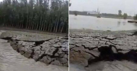 Um vídeo mostra como a terra está crescendo sozinha na Índia