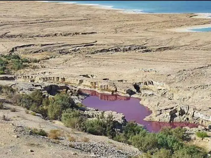 Água Do Lago Misteriosamente Ficou Vermelha Perto Do Mar Morto, Na Jordânia..