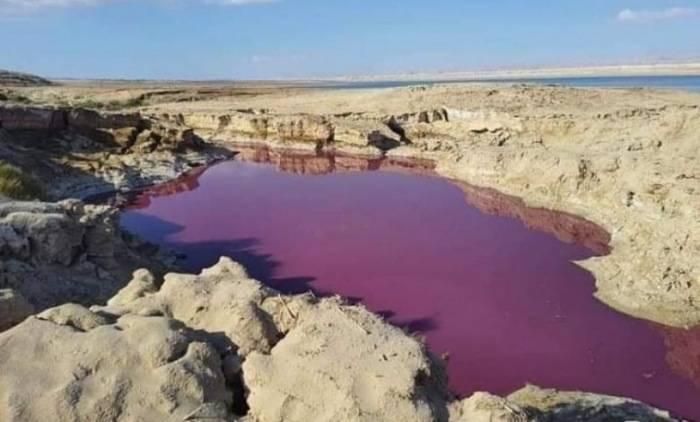 Água Do Lago Misteriosamente Ficou Vermelha Perto Do Mar Morto, Na Jordânia