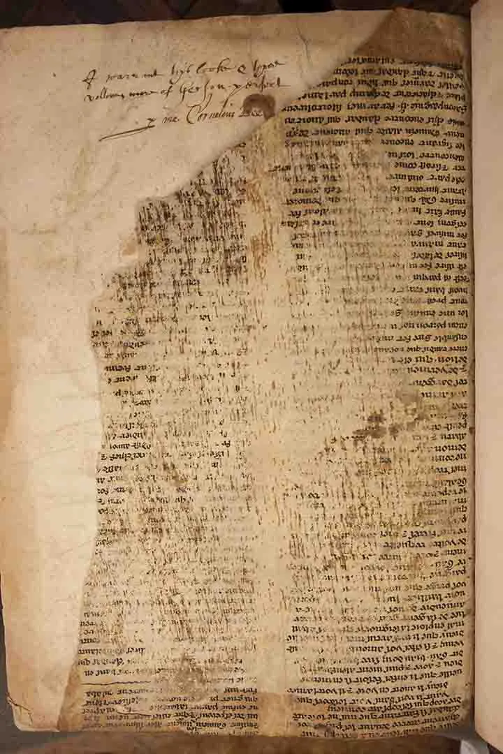 Uma das seções das escrituras, que foram investigadas com programas especiais para ver tinta ilegível.
