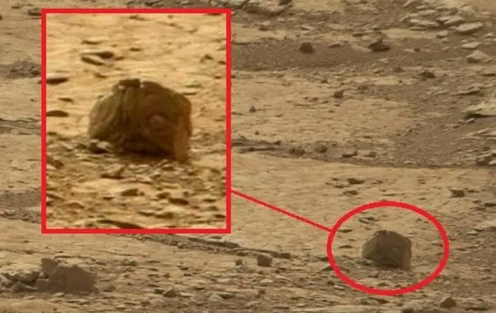 À primeira vista, parece outra pedra na desolada superfície marciana.