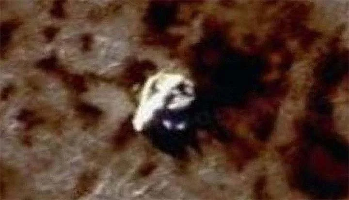 OVNI flutuando na Antártida - Imagem do Google Earth.