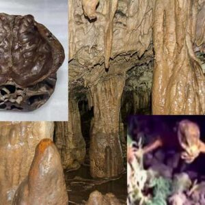 Outra raça de humanoides encontrada nas cavernas da Mongólia