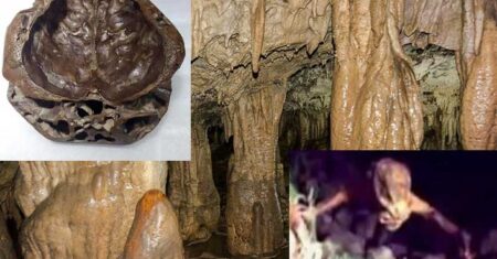 Outra raça de humanoides encontrada nas cavernas da Mongólia