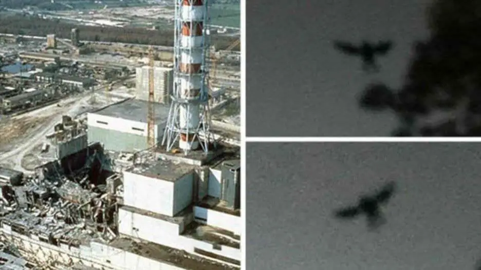 Chernobyl e as fotos da criatura que apareceu antes do desastre.